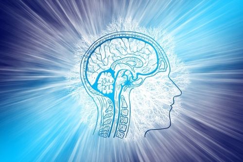 Neurologie